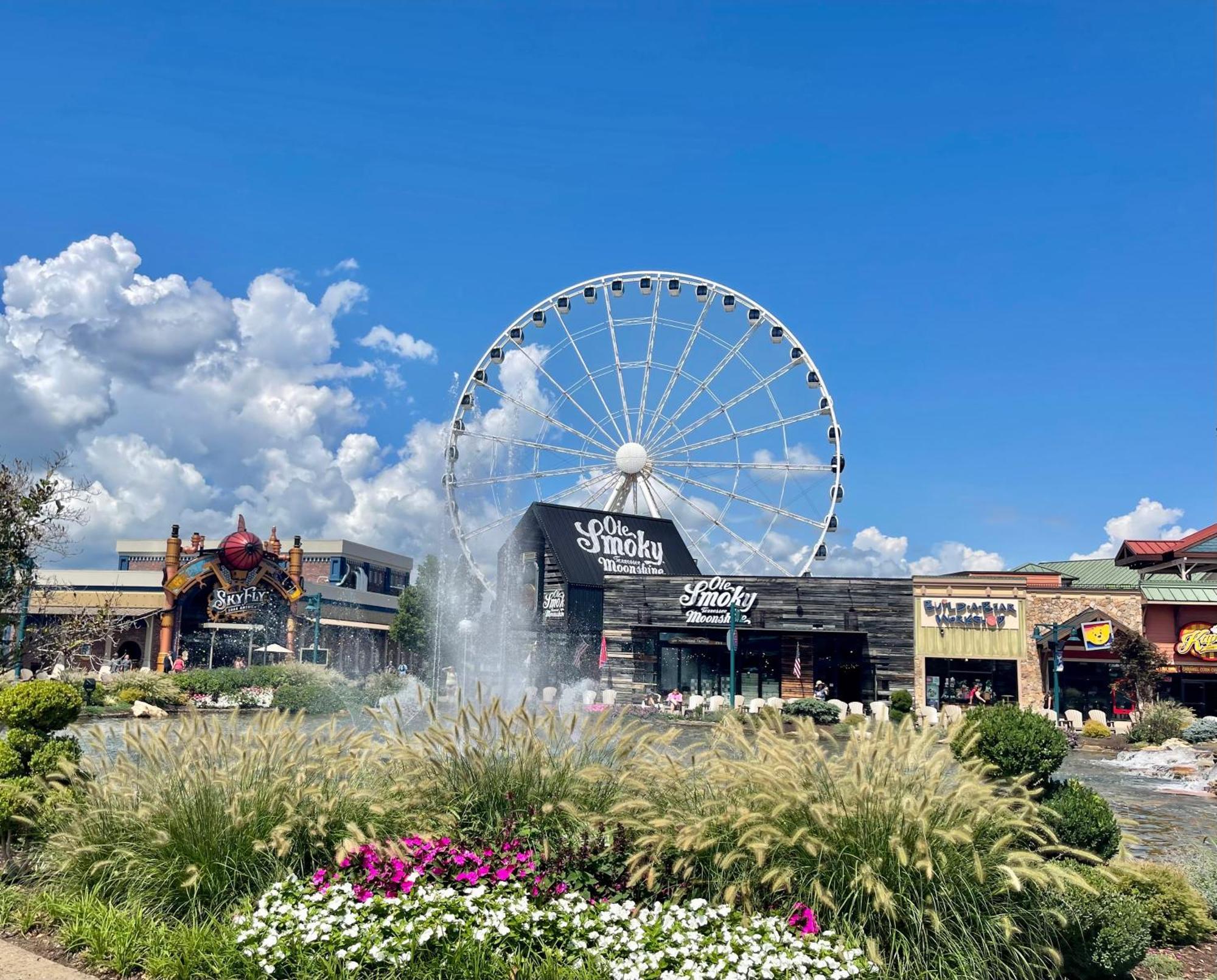 Blue Bear Splash Villa Pigeon Forge Eksteriør billede